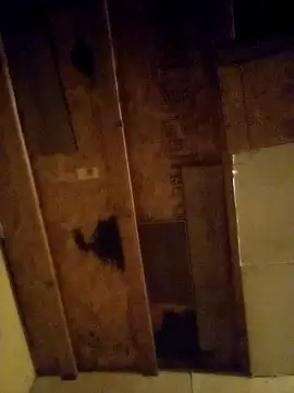 beliqi online show from 12.15.24