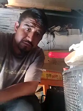 beliqi online show from 09.08.25