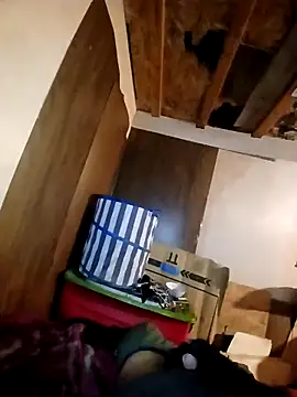 beliqi online show from 11.15.25