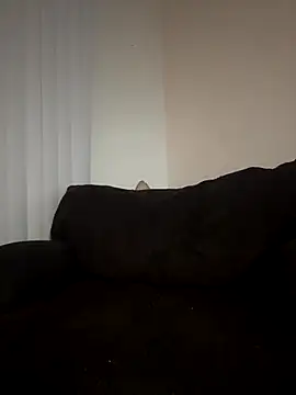 ladylavish online show from 12.19.25