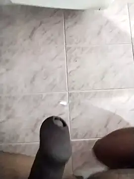 max pane98 online show from 02.06.25