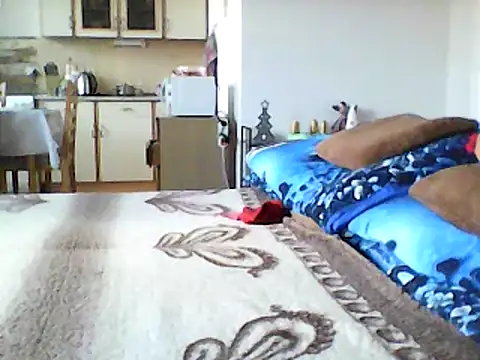 Lisak951 online show from 12.11.24