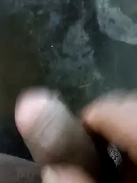 jellydicks online show from 01.13.25