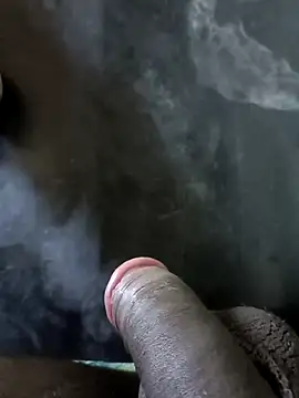 jellydicks online show from 01.19.25