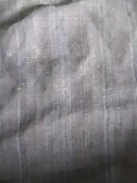 jellydicks online show from 12.18.25