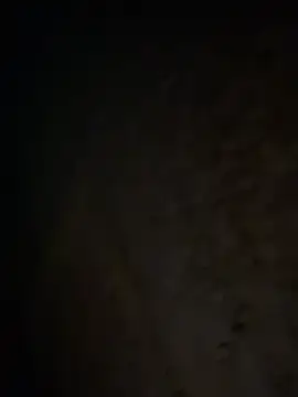 tripexnte online show from 02.20.25