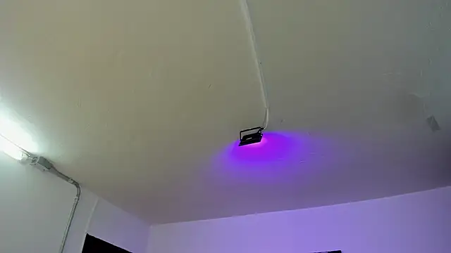 Amy Kiitty  online show from 02.28.26