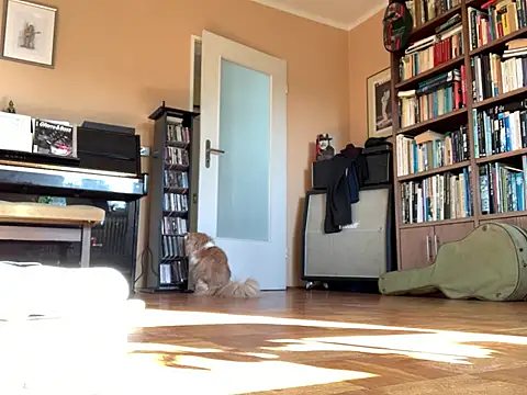 Snapshot of Bula94193 chatting on 03.16.26 Bula94193 online show from 03.16.26