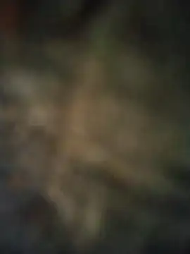 axelongshaft69 online show from 04.07.26