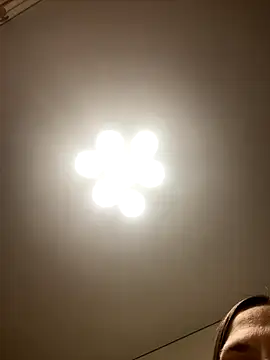 Janet Welder online show from 11.15.25