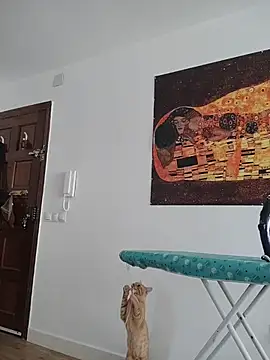 Satiro Sevilla online show from 11.12.25