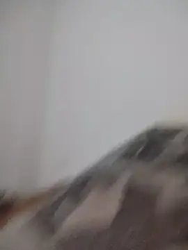 Satiro Sevilla online show from 02.24.26