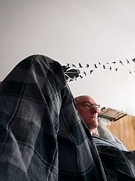 bogland33 online show from 10.04.25