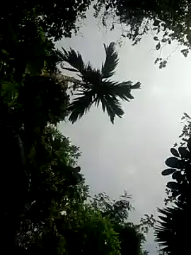 kumaricapalsex2 online show from 01.26.25