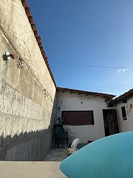 Leo bunny hot online show from 12.13.25