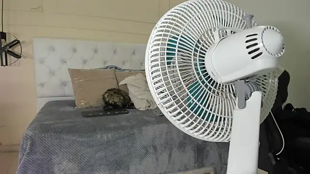 Slut Milf  online show from 01.23.25