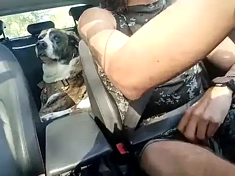 Snapshot of FRANKY_nycc1978 chatting on 10.10.25 FRANKY nycc1978 online show from 10.10.25