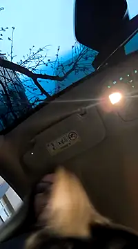 Snapshot of SukyGirl chatting on 02.03.25 SukyGirl online show from 02.03.25