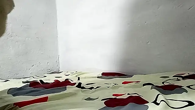 wilialex online show from 02.20.25