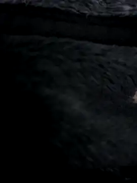 Snapshot of MetalJoint2 chatting on 11.30.25 MetalJoint2 online show from 11.30.25