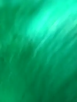 arafat mia online show from 01.31.25