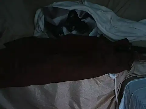 VeneRed online show from 10.01.25