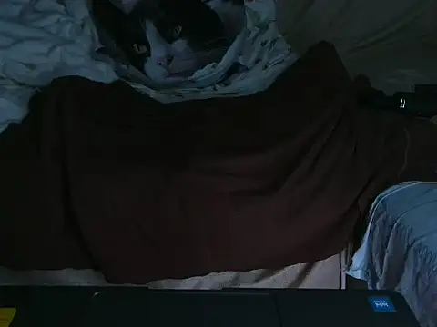 VeneRed online show from 10.04.25