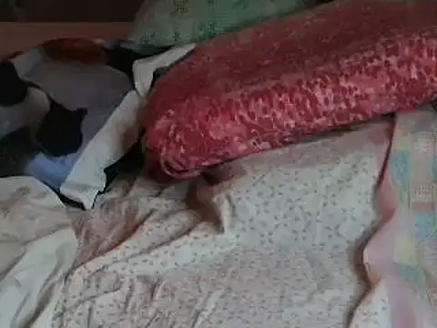 VeneRed online show from 04.06.26