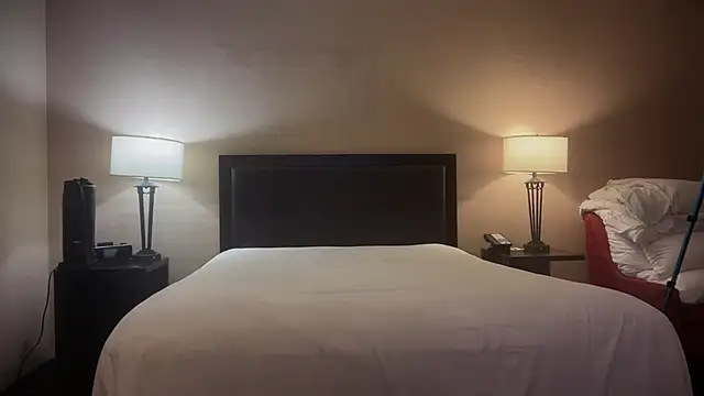 GymBoyVan online show from 10.01.25