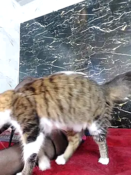 crislingery dolli online show from 10.12.25