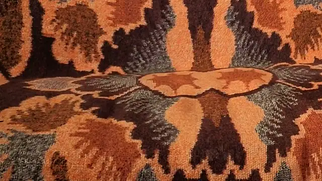 loverboyxxx69 online show from 02.09.26