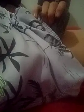 novilho18piroc online show from 03.10.26