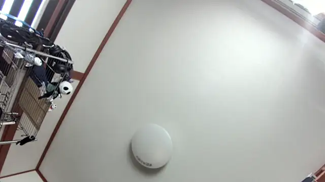 Snapshot of tuki_fu chatting on 12.08.24 tuki fu online show from 12.08.24