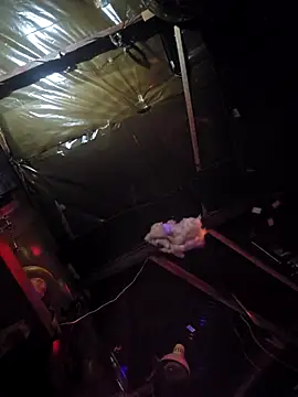 Jamixxxdress77 online show from 03.08.26