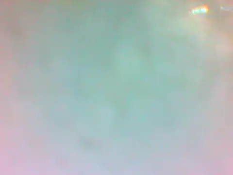 TheDoggyAss online show from 04.19.26