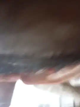 Luis kv online show from 02.28.26