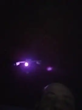 Leocesar37 online show from 12.01.25