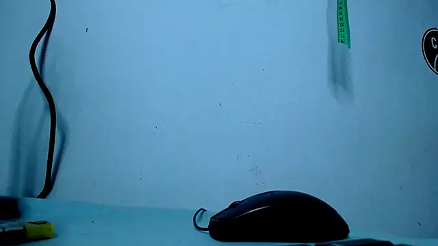 freddy romas online show from 02.08.25