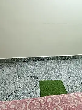 Saroj-Shah online show from 03.10.26