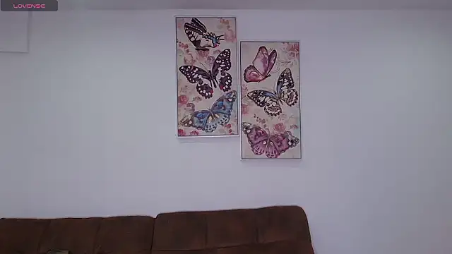 dolcebella online show from 03.08.26