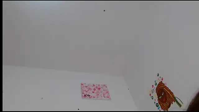 kity   online show from 02.24.25