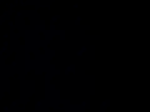 nupa230780 online show from 04.29.26