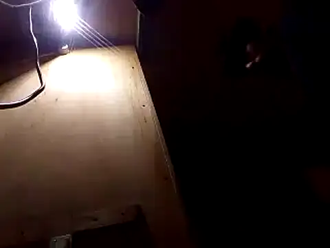 perkins1mm online show from 12.02.24