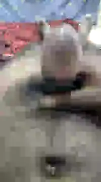 mallucallboy2104 online show from 12.10.24