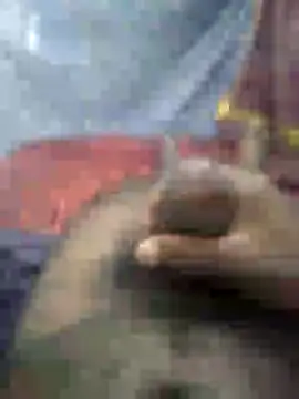 mallucallboy2104 online show from 01.15.25