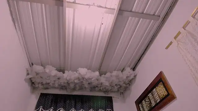 Snapshot of Lauu_G chatting on 11.21.25 Lauu G online show from 11.21.25