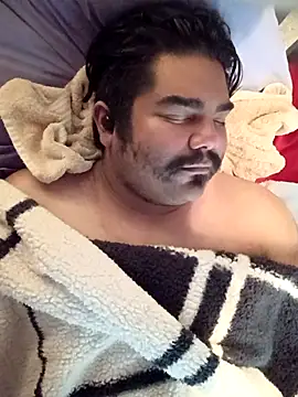 Snapshot of Brickstash chatting on 10.24.25 Brickstash online show from 10.24.25