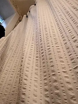 Snapshot of Brickstash chatting on 11.04.25 Brickstash online show from 11.04.25