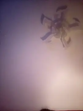 Fiesty findom40 online show from 01.10.26