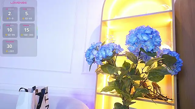 elasummer online show from 11.28.25